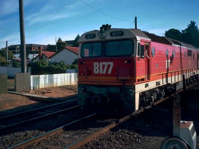 8177arrivewagga.jpg