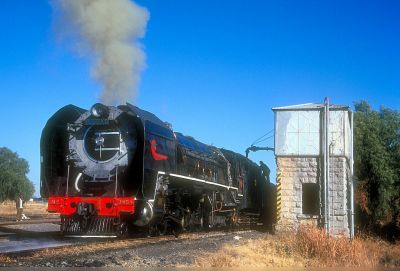 25NC_3454_Watering_at_Thaba_Nchu.jpg