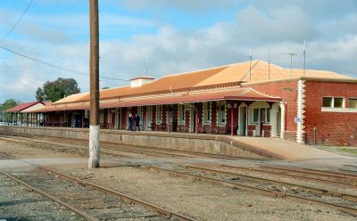 wodongastation.jpg